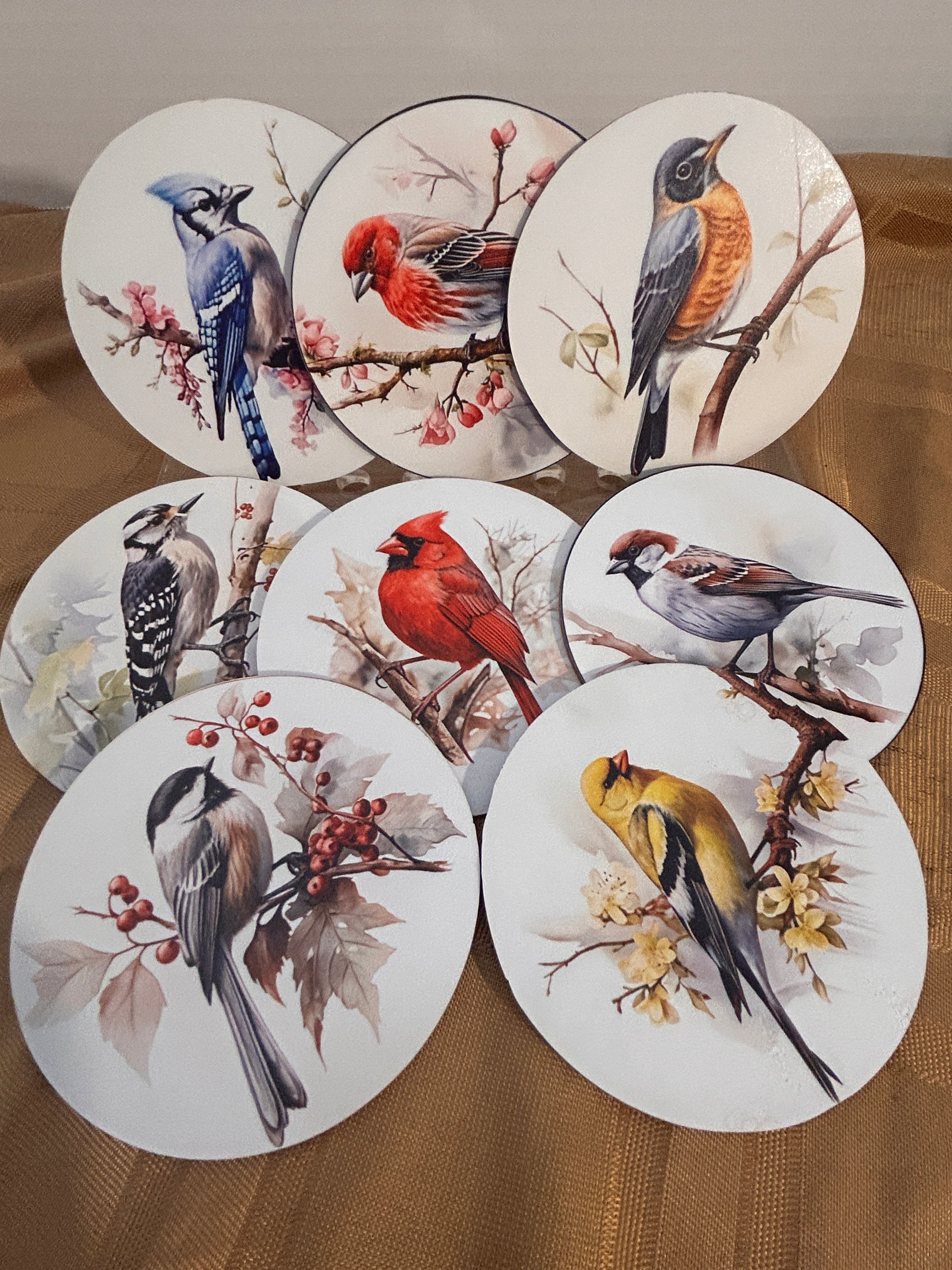 Make a bold statement with these premium coasters (8 pack).
Cardinal, Blue Jay, Goldfinch, Chickadee, Woodpecker, Robin. Warbler
High definition image. Vibrant fade resistant colors. 